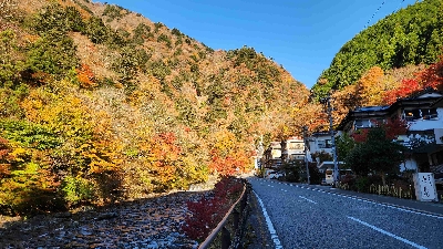 Photo from 2025/11/16