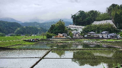 Photo from 2025/5/22