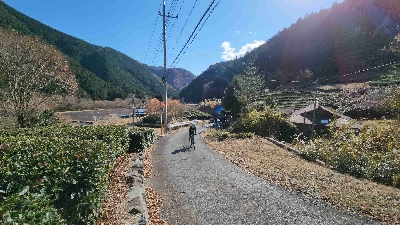 Photo from 2023/12/3