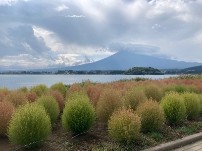 Photo from 2023/10/1