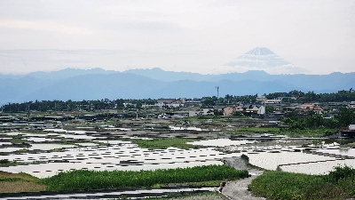 Photo from 2025/5/24