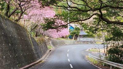Photo from 2024/2/17