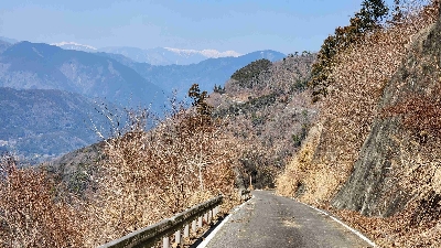 Photo from 2024/3/16