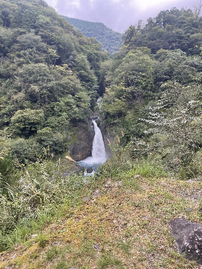 Photo from 2025/9/27