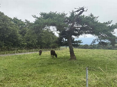 Photo from 2025/8/16