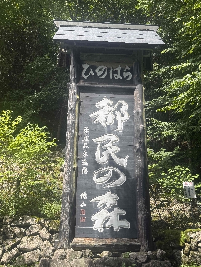 Photo from 2025/7/27