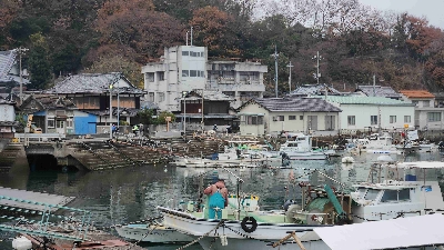Photo from 2025/12/21