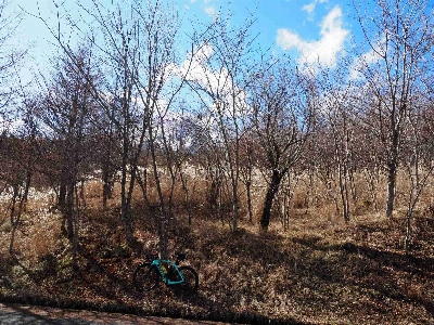 Photo from 2024/11/24