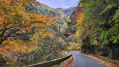 Photo from 2025/11/24