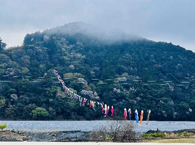 Photo from 2026/3/27