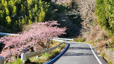 Photo from 2024/2/12