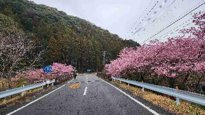 Photo from 2025/3/15