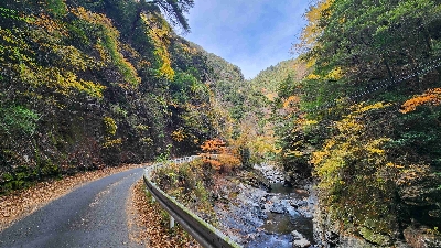 Photo from 2025/11/24