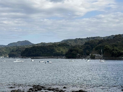 Photo from 2024/11/3