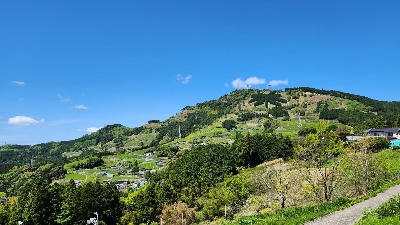 Photo from 2023/4/16