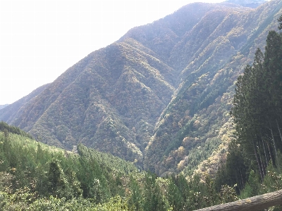 Photo from 2024/11/10