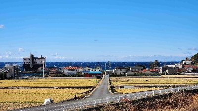 Photo from 2024/1/24