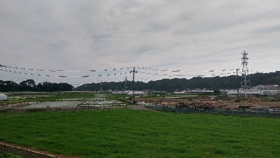 Photo from 2018/6/26