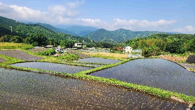 Photo from 2025/5/19