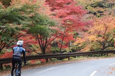 Photo from 2023/11/5