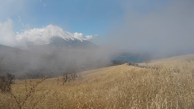 Photo from 2020/2/13