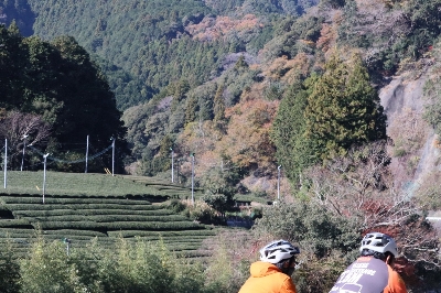 Photo from 2023/12/10