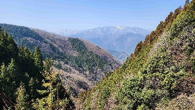 Photo from 2024/3/16