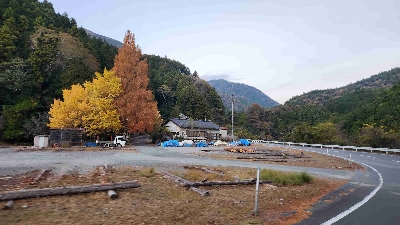 Photo from 2025/11/24