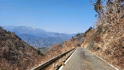 Photo from 2024/3/16