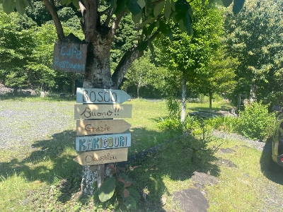 Photo from 2023/6/17