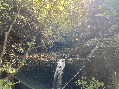 Photo from 2024/11/10