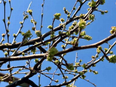 Photo from 2025/3/22