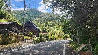 Photo from 2024/8/10