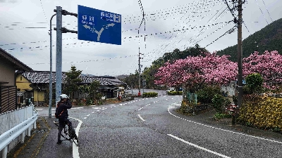 Photo from 2025/3/15