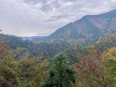 Photo from 2024/11/16