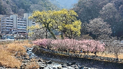 Photo from 2024/3/16