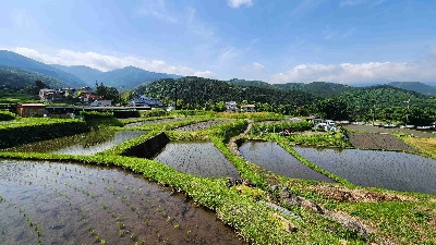 Photo from 2025/5/19