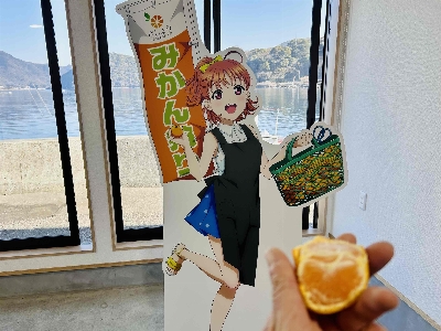 Photo from 2026/1/17