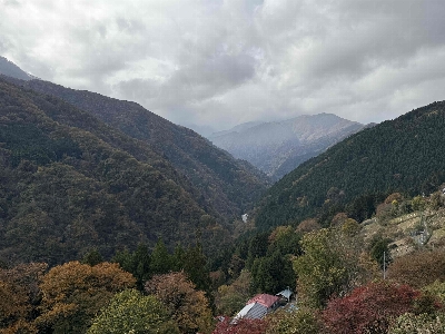 Photo from 2024/11/10