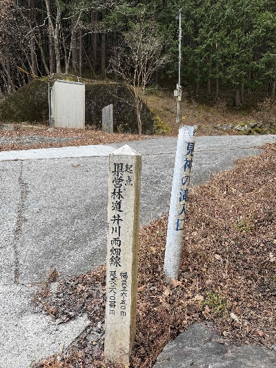 Photo from 2024/12/22