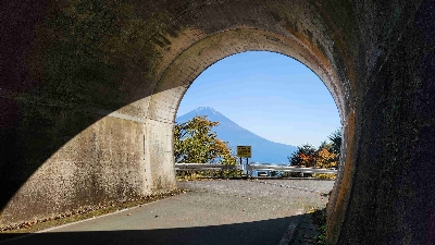 Photo from 2025/11/7