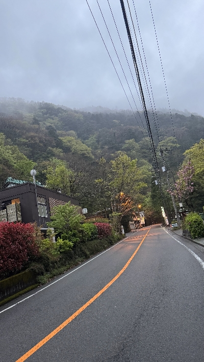 Photo from 2025/4/12