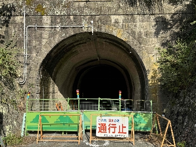 Photo from 2024/11/3