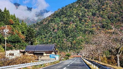 Photo from 2024/11/21