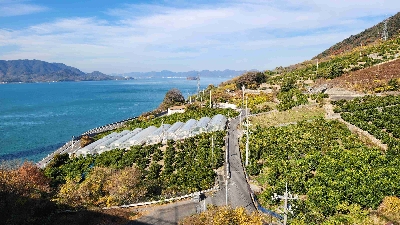 Photo from 2025/12/19