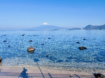 Photo from 2026/1/17