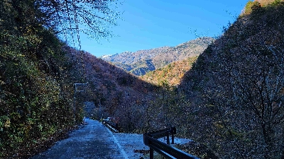 Photo from 2024/11/21