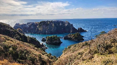 Photo from 2024/1/28