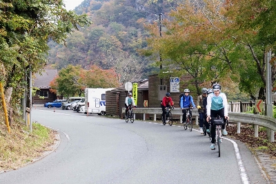 Photo from 2024/11/10