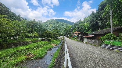 Photo from 2024/8/10